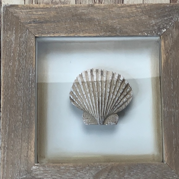 Seashell picture frame - Picture 2 of 4